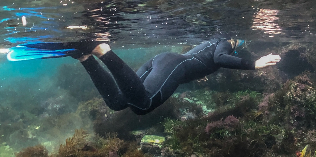 Boo snorkelling over seaweed and algae