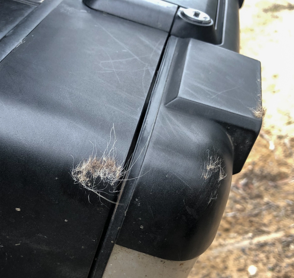 Kangaroo hair and skin left on motorbike after collision with it