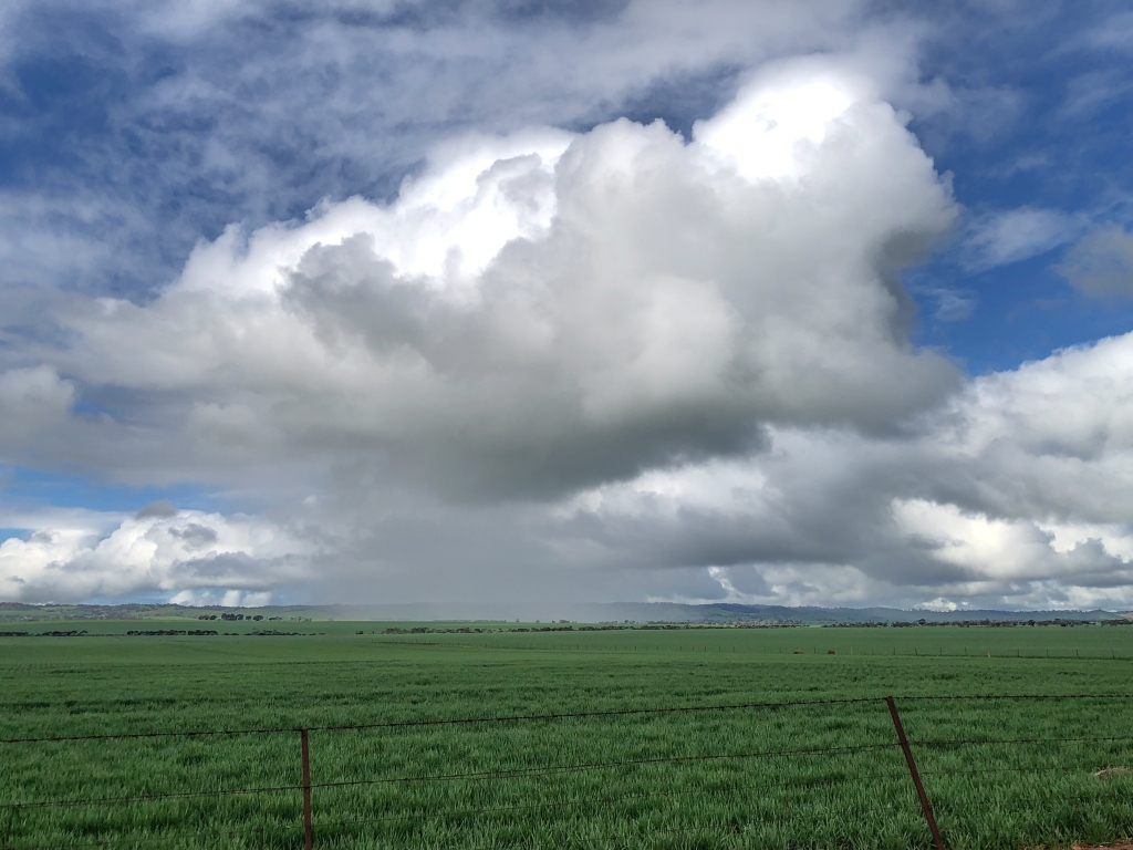 Cumulus cloud, rain, green crop