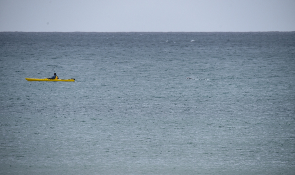 Kayak paddler ahead of ocean swimmer